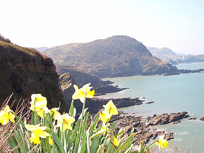 Y-ILF-Sea 