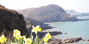 Ilfracombe - England