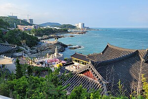 Carl Duisberg Sprachreisen für Erwachsene - Busan - Südkorea