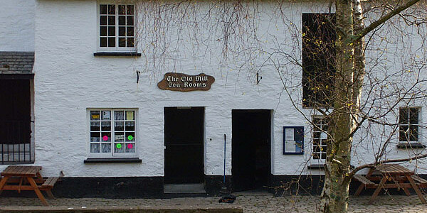 Carl Duisberg Sprachreisen für Schüler - Ilfracombe - England