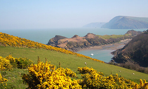 Ilfracombe - England
