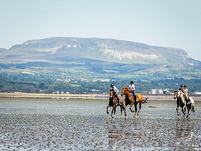 Englisch lernen in Sligo