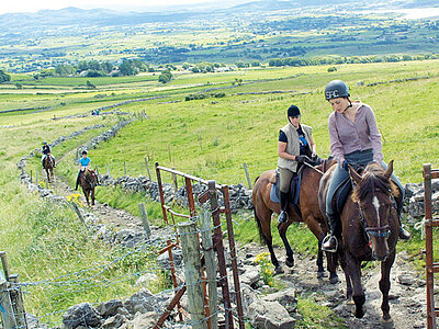 Schülersprachreisen Irland - Reiten auf der grünen Insel
