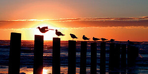 Bournemouth - England
