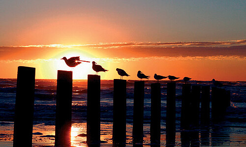 Bournemouth - England