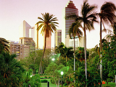 BNE-IELTS 