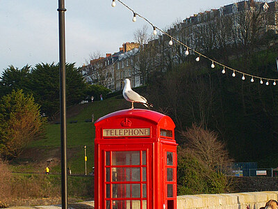 Englisch lernen in Ilfracombe