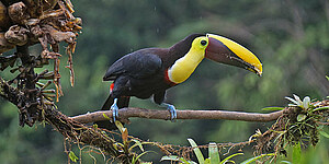 San José - Costa Rica