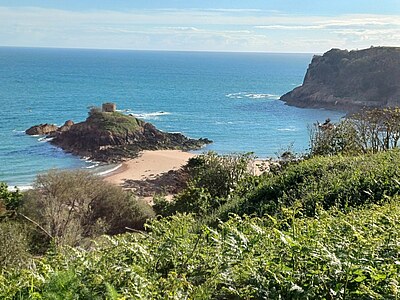 England Claudia U. - Jersey