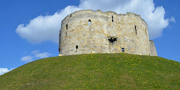 Carl Duisberg Sprachreisen für Berufstätige - York - England