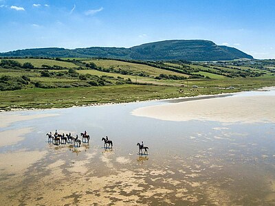 Englisch lernen in Sligo