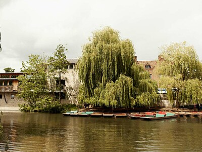 Englisch lernen in Cambridge