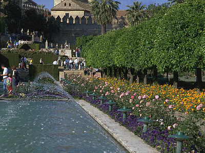 Spanisch lernen in Málaga