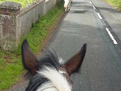 Irland Shanti K. - Sligo