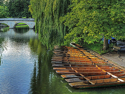 Englisch lernen in Cambridge