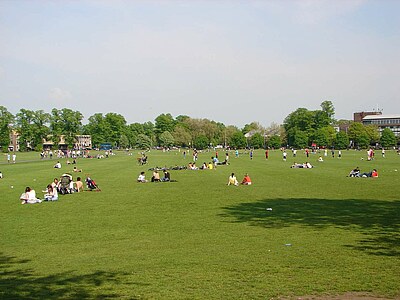 Englisch lernen in Cambridge