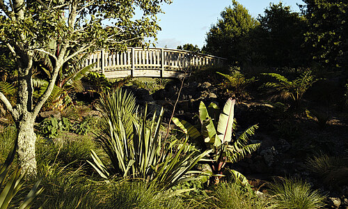 Auckland - Neuseeland