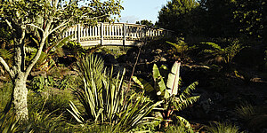 Auckland - Neuseeland