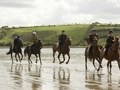 Englisch lernen in Sligo