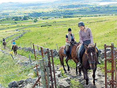 Englisch lernen in Sligo