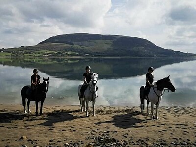 Irland Mia B. - Sligo