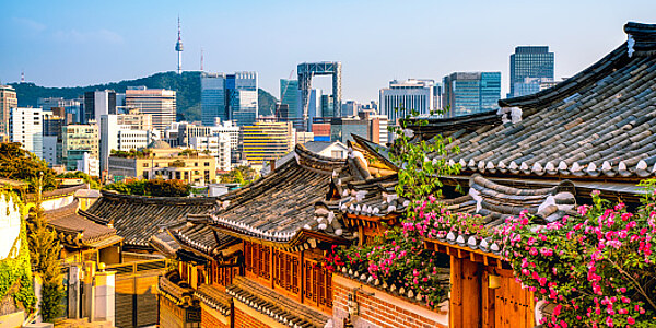 Carl Duisberg Sprachreisen für Schüler - Seoul - Südkorea