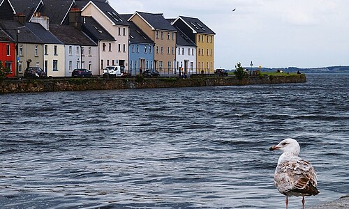 Galway - Irland
