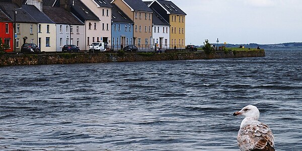 Carl Duisberg Sprachreisen für Erwachsene - Galway - Irland