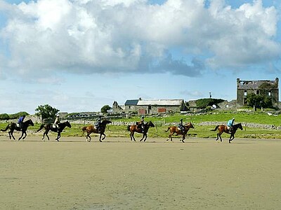 Englisch lernen in Sligo